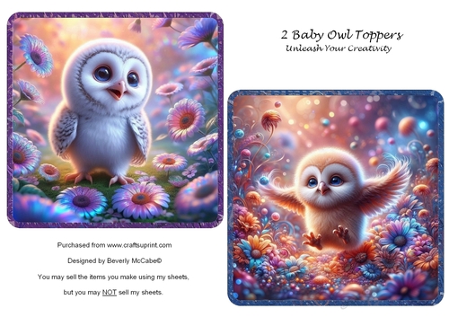 2 Baby Owl Toppers