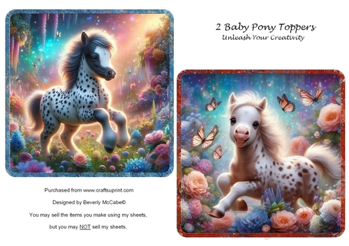 2 Baby Pony Toppers