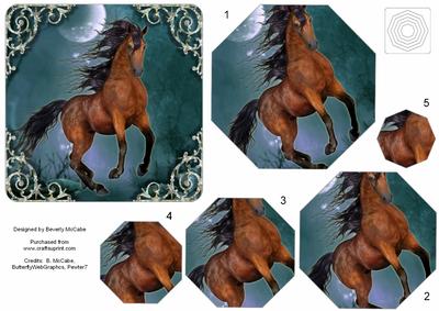 Wild Horse in the Moonlight Pyramid