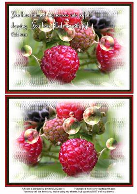 Nature Photo Topper #3