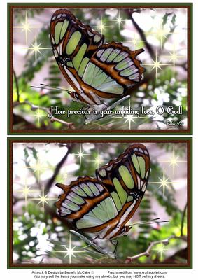 Nature Photo Topper #11