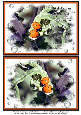 Nature Photo Topper #12