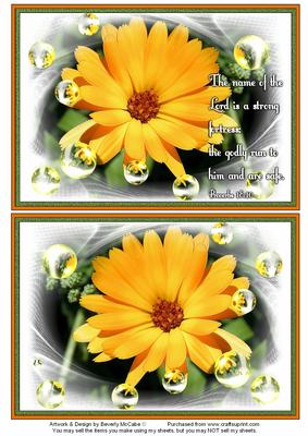 Nature Photo Topper #14