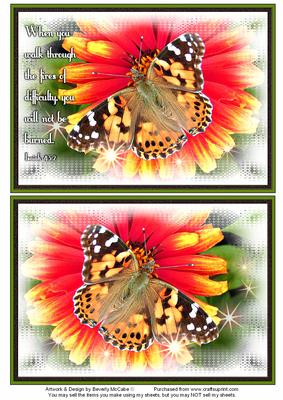 Nature Photo Topper #18