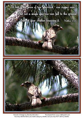 Nature Photo Topper #23
