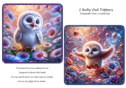 2 Baby Owl Toppers