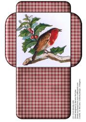 Cd/dvd Gift Envelope #10