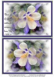 Nature Photo Topper #13