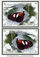 Nature Photo Topper #2