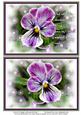 Nature Photo Topper #6