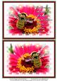 Nature Photo Topper #7