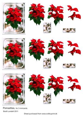 Poinsettias, for 3 Minicards