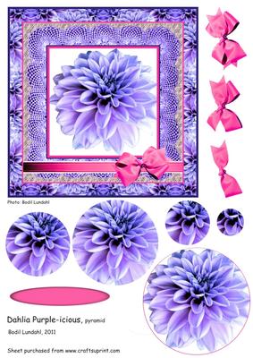 Dahlia Purple-icious