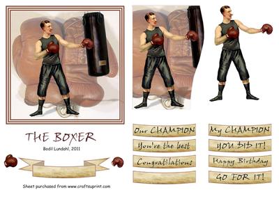 The Boxer