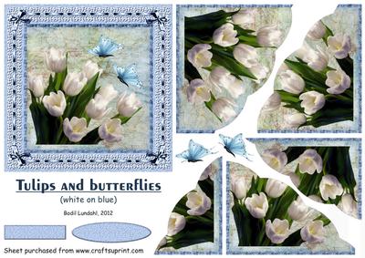 Tulips and Butterflies (white on Blue)