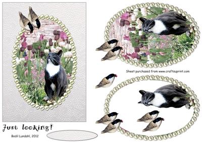 Just Looking! - on Grey Backing