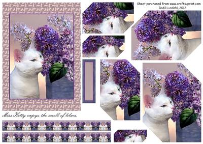 Miss Kitty Enjoys the Smell of Lilacs
