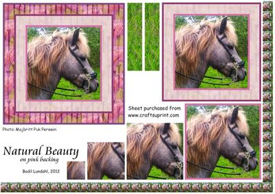 Natural Beauty on Pink Backing