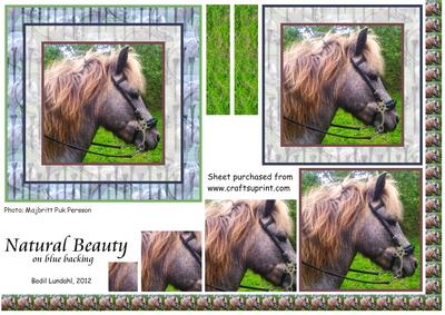 Natural Beauty on Blue Backing