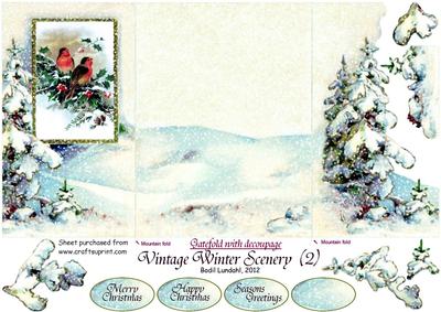 Vintage Winter Scenery (2)