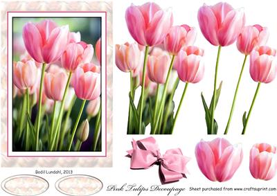 Pink Tulips Decoupage