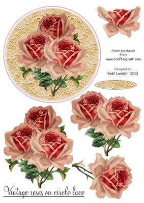 Vintage Roses on Circle Lace