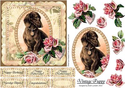 Vintage Puppy