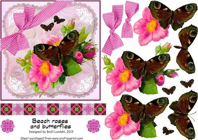 Beach Roses and Butterflies
