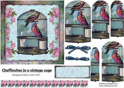 Chaffinches in a Vintage Cage