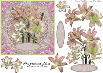 The Prettiest Lilies