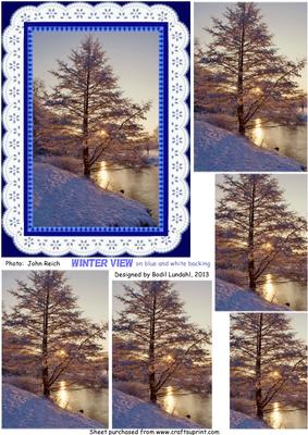 Winter View on Blue and White Backing