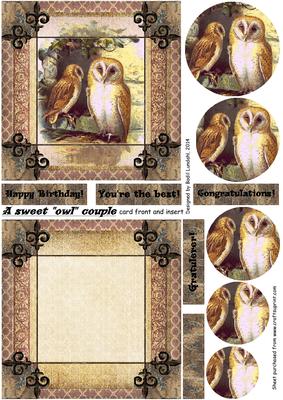 A Sweet owl couple