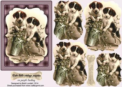 Cute Little Vintage Puppies on Purple Backing