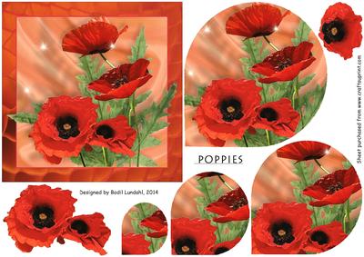 Poppies