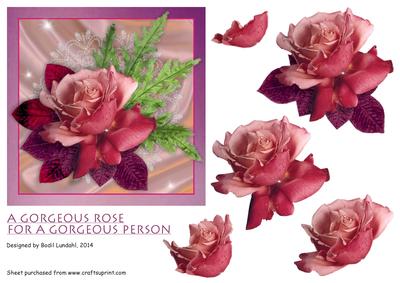 A Gorgeous Rose for a Gorgeous Person