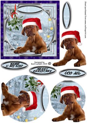 Wanna X-mas Kiss?