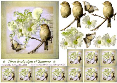 Three Lovely Signs of Summer