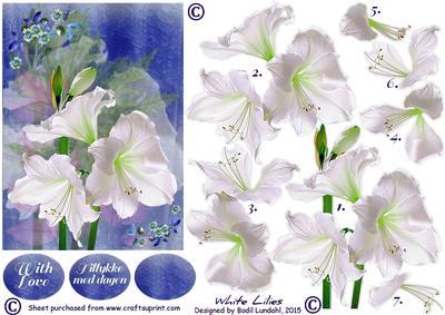 White Lilies