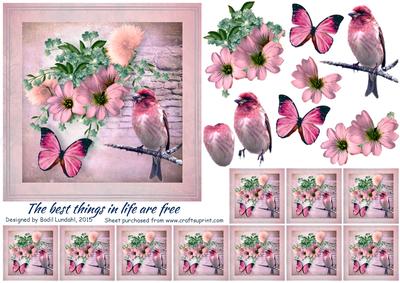 The Best Things in Life Are Free