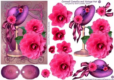 Cornwall Camellia and Vintage Hat