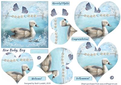 New Baby, Boy