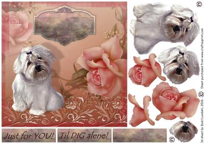 Just for You - Til Dig Alene!
