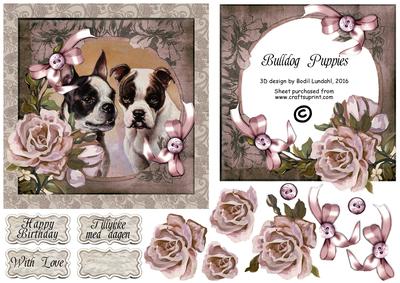 Bulldog Puppies