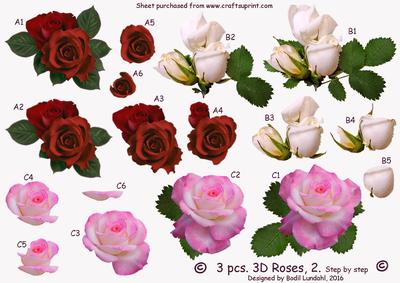 3 Pcs. 3D Roses, 2 Step by Step