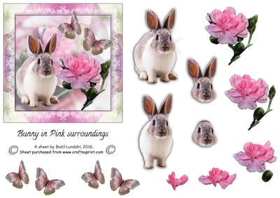 Bunny in Pink Surroundings