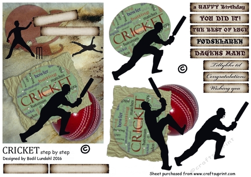 CRICKET step by step