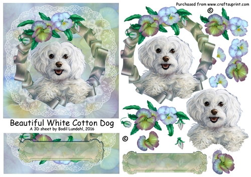 Beautiful White Cotton Dog