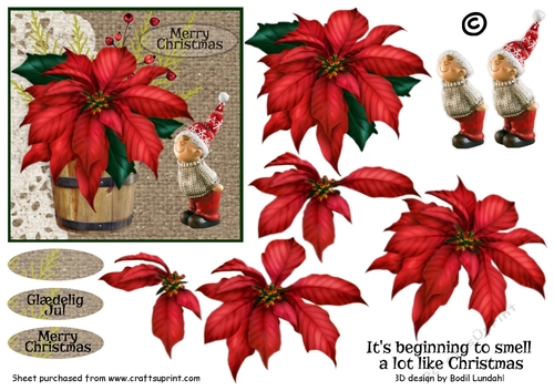 Its beginning to smell a lot like Christmas