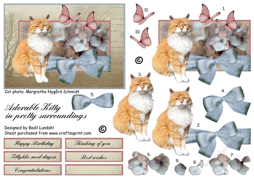 Adorable Kitty in pretty surroundings