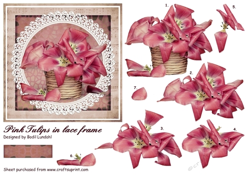 Pink Tulips in lace frame